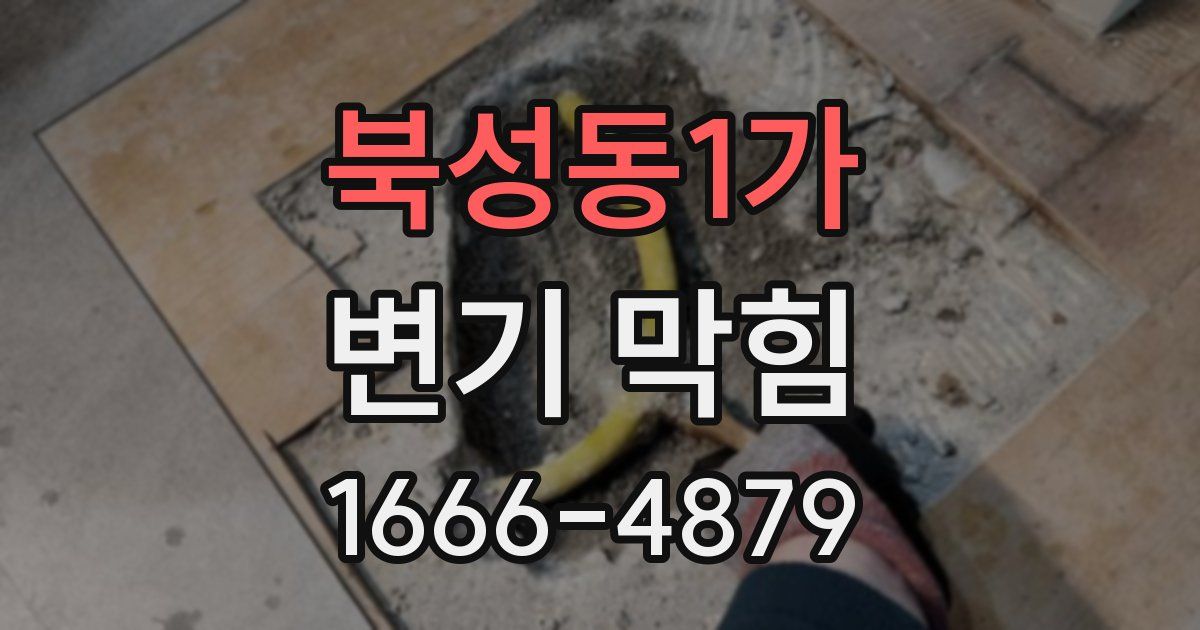 북성동1가 변기 막힘