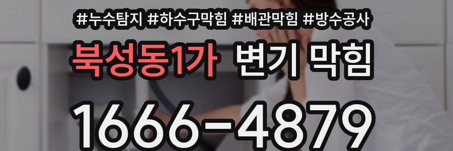북성동1가 변기 막힘