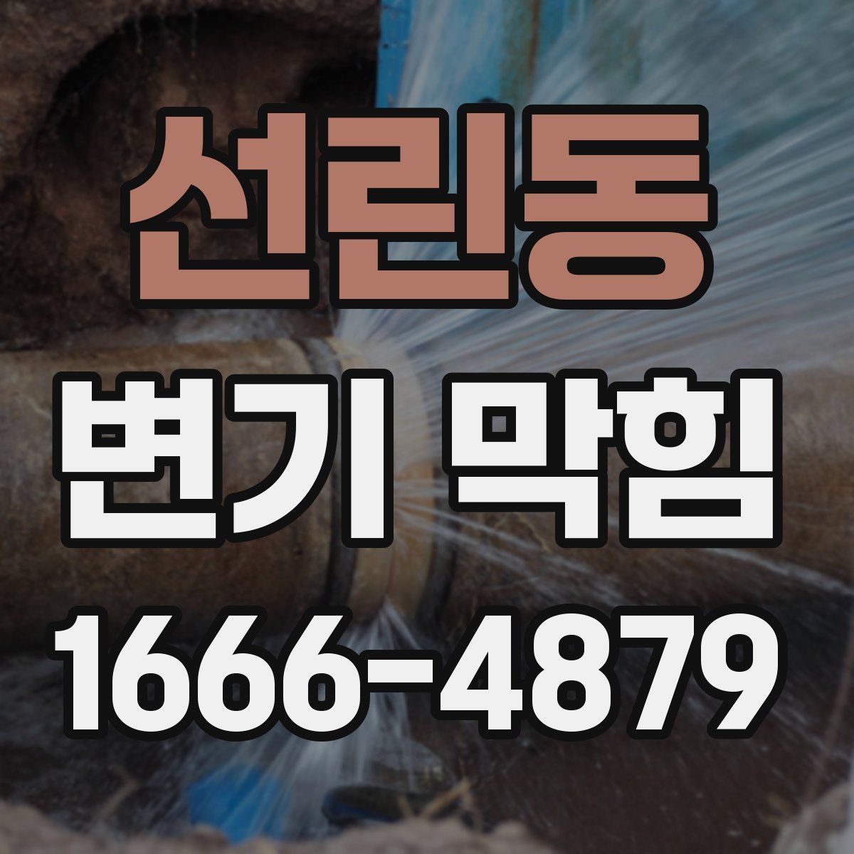 선린동 변기 막힘
