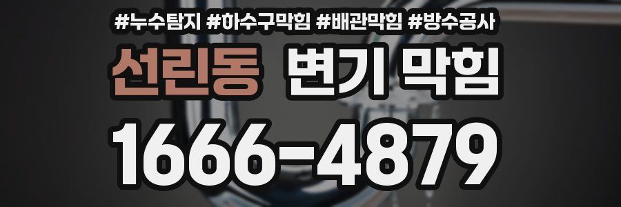 선린동 변기 막힘
