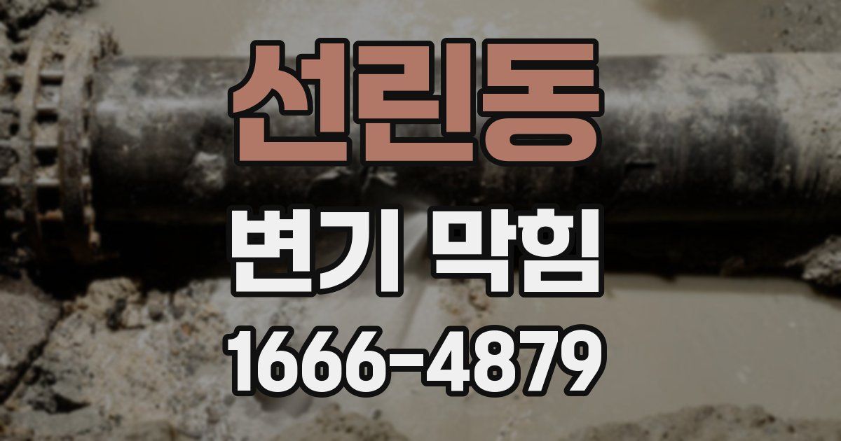 선린동 변기 막힘