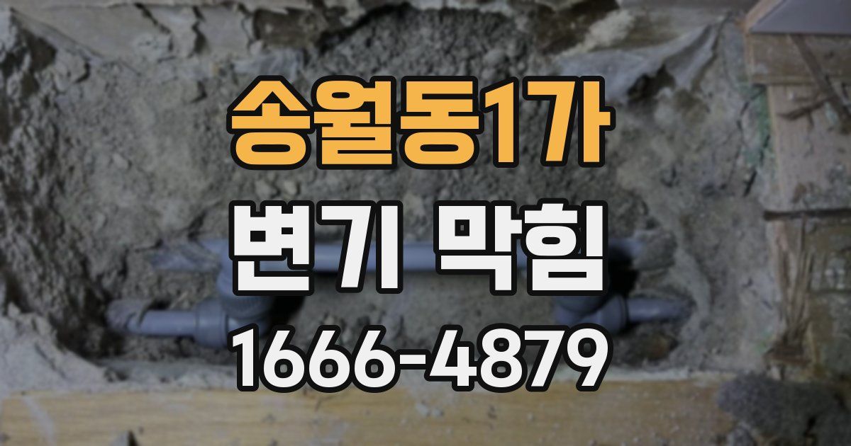 송월동1가 변기 막힘