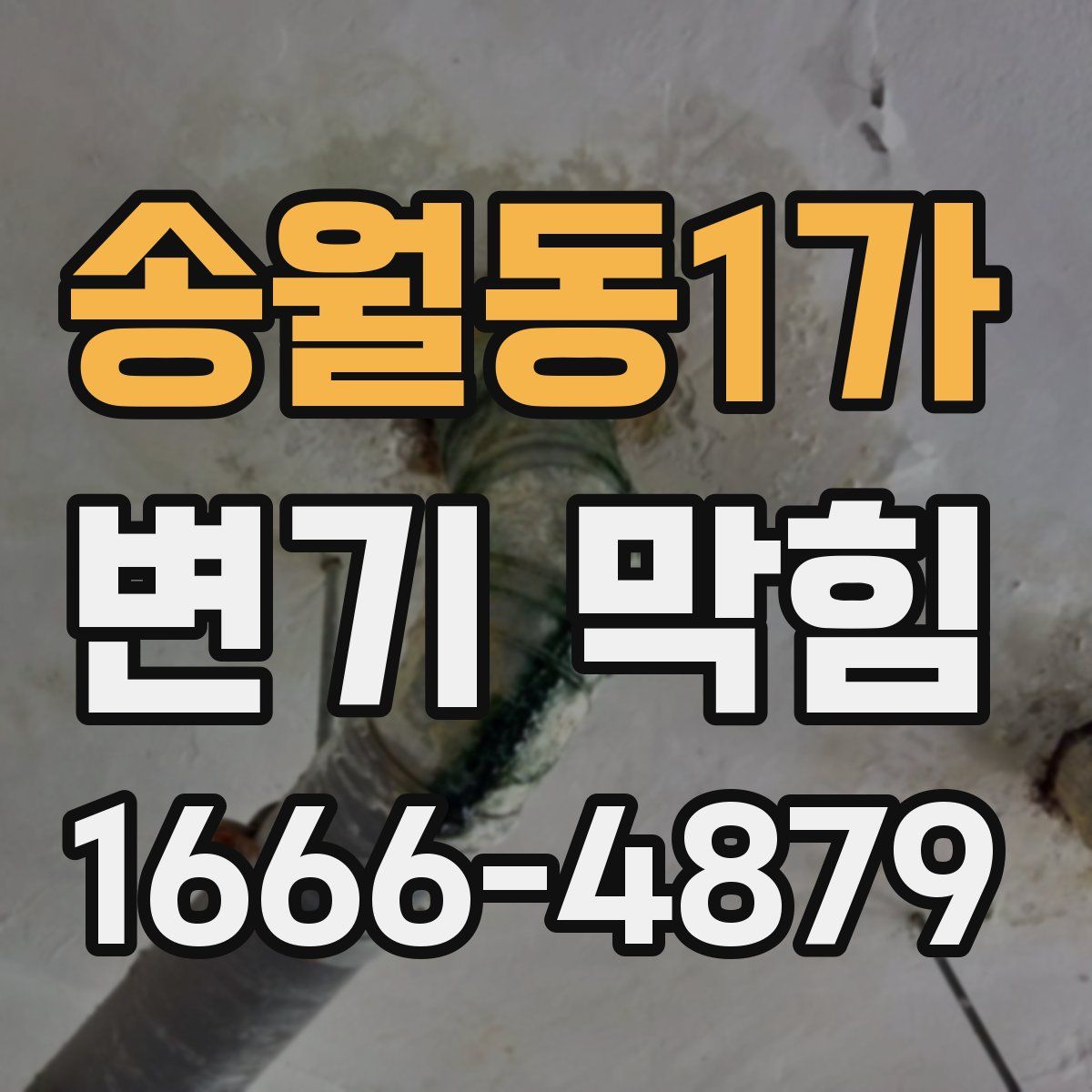 송월동1가 변기 막힘