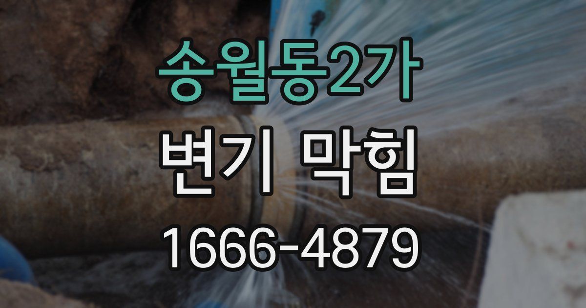송월동2가 변기 막힘