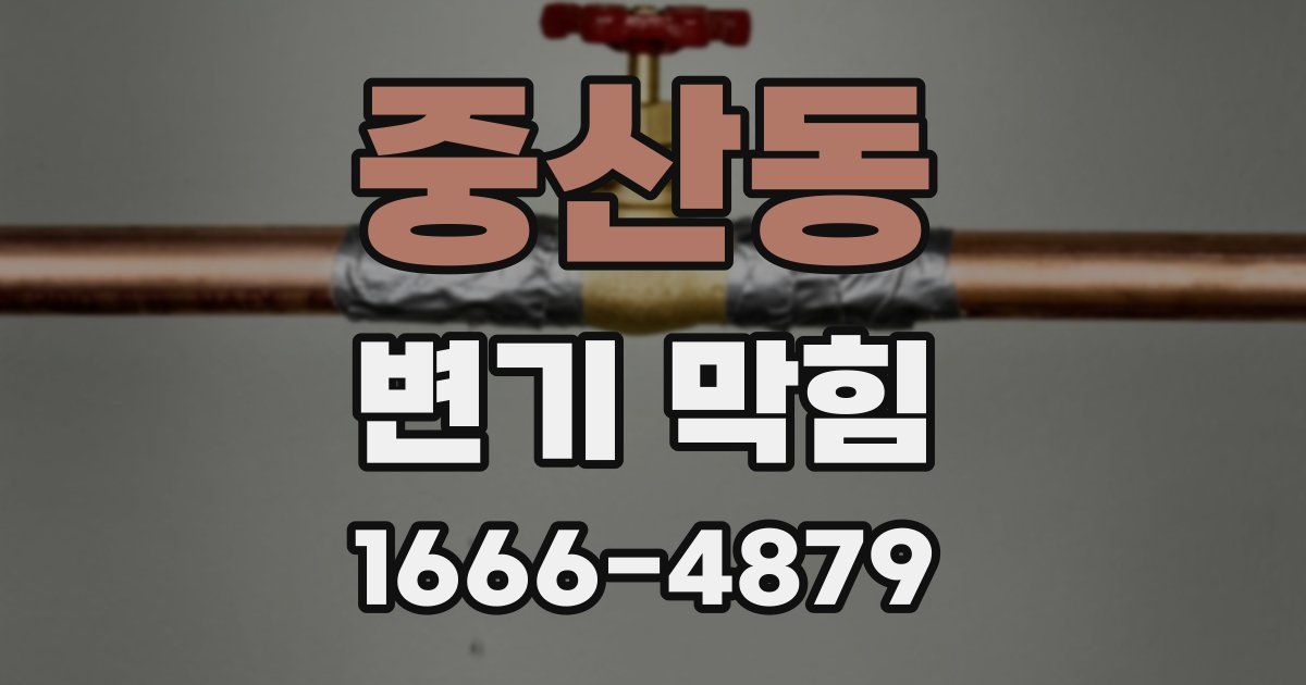 중산동 변기 막힘