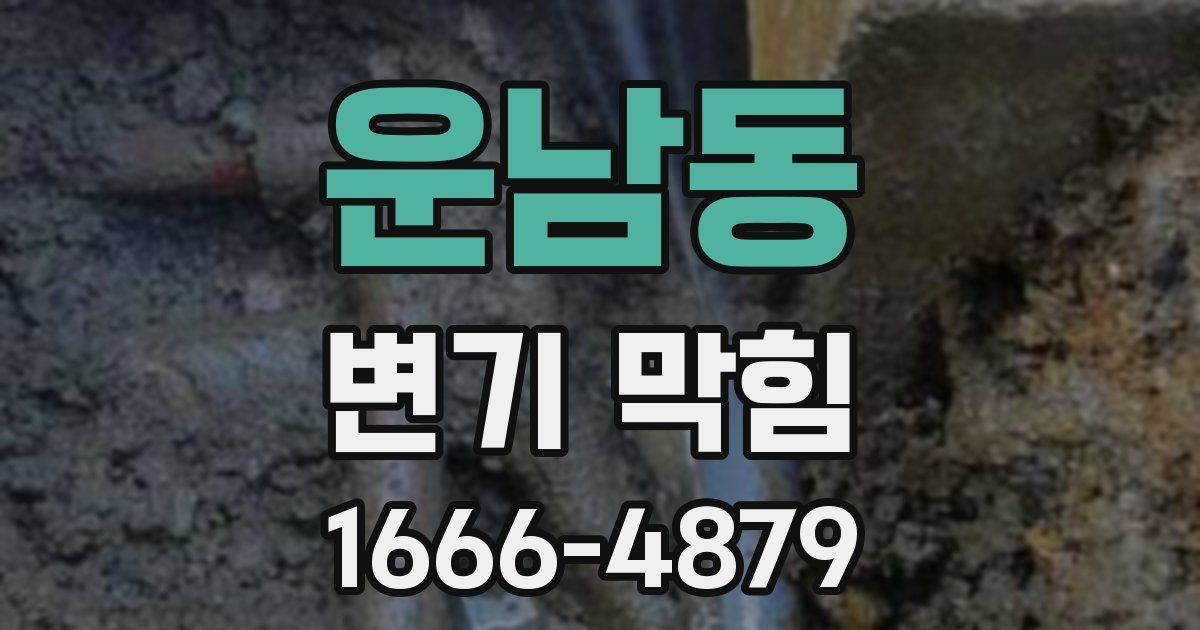 운남동 변기 막힘