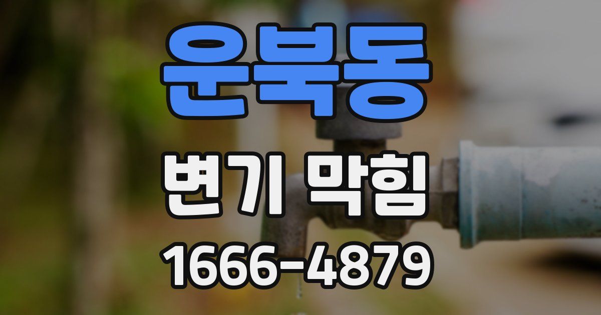 운북동 변기 막힘