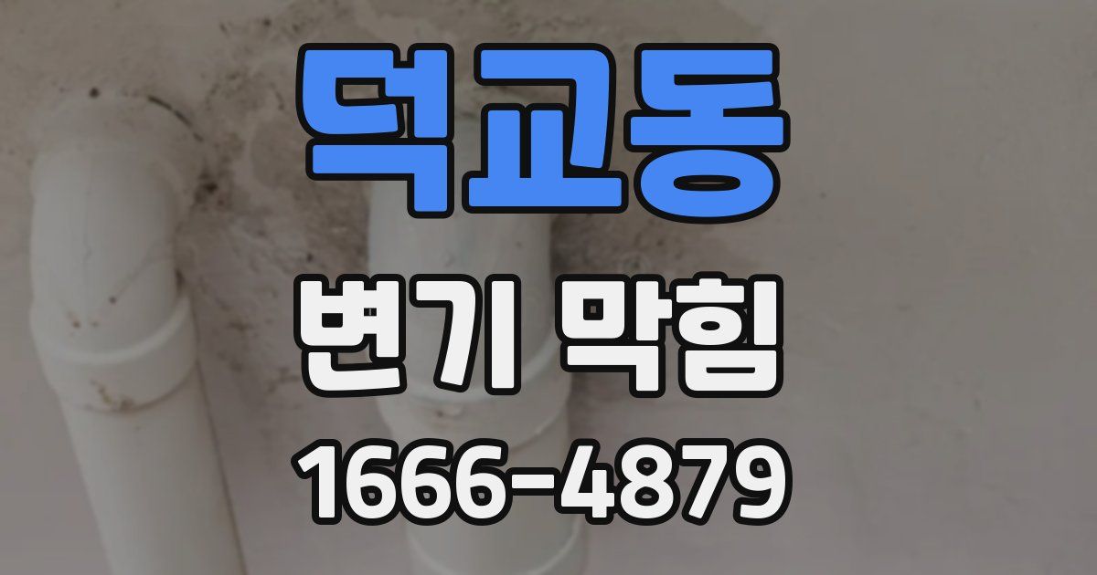 덕교동 변기 막힘
