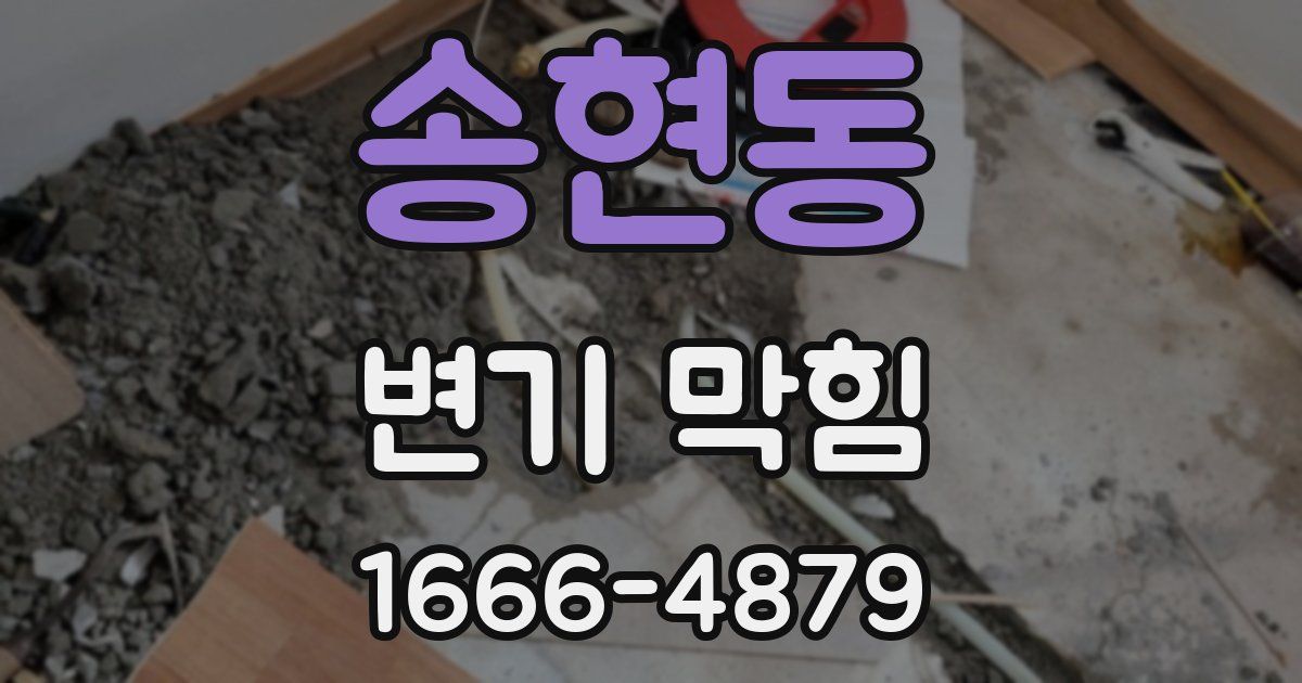 송현동 변기 막힘