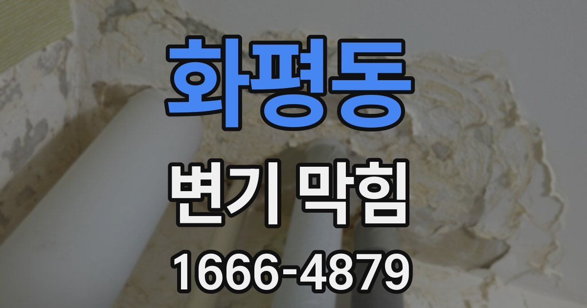 화평동 변기 막힘