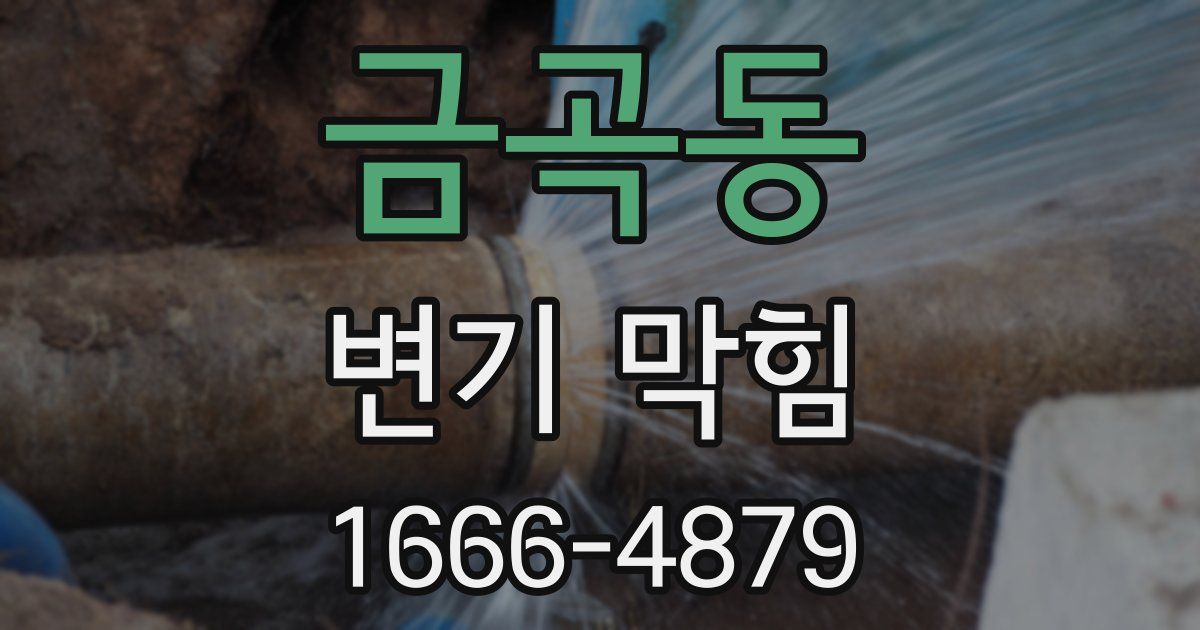 금곡동 변기 막힘