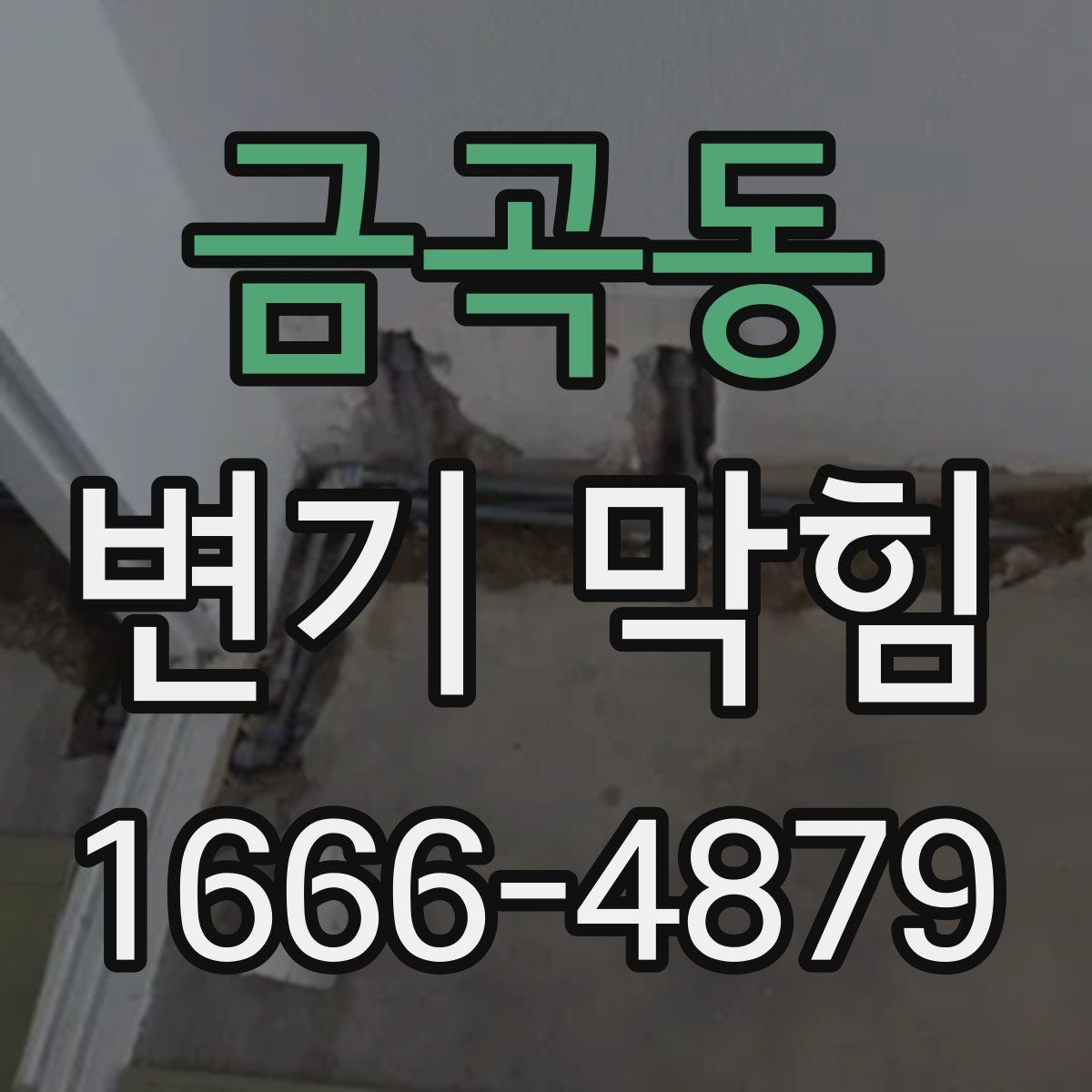 금곡동 변기 막힘
