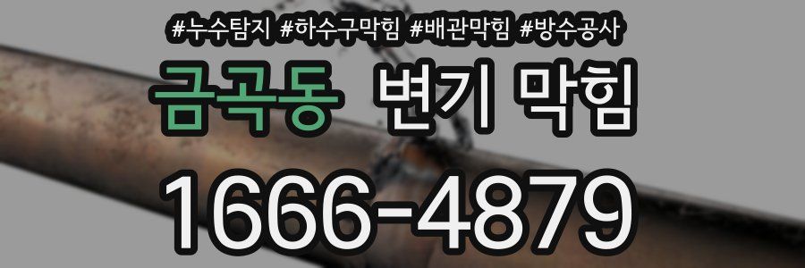 금곡동 변기 막힘