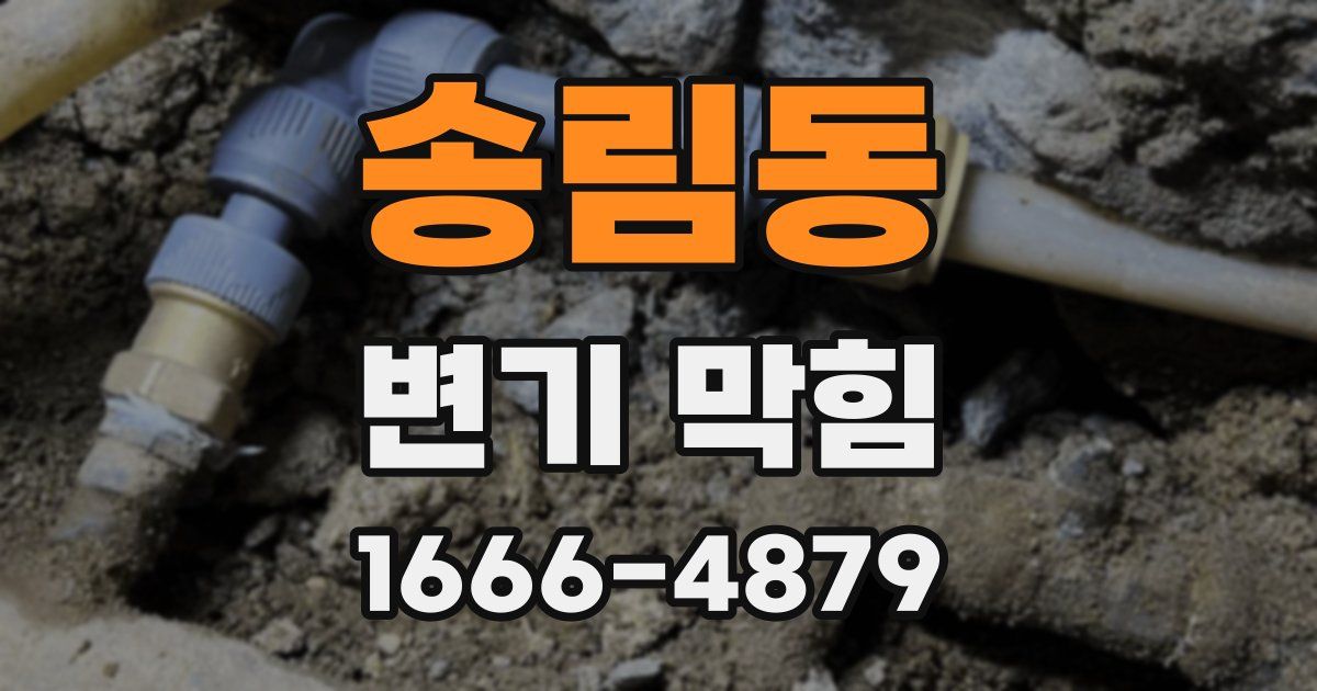 송림동 변기 막힘