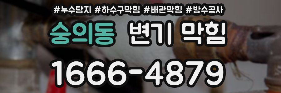 숭의동 변기 막힘