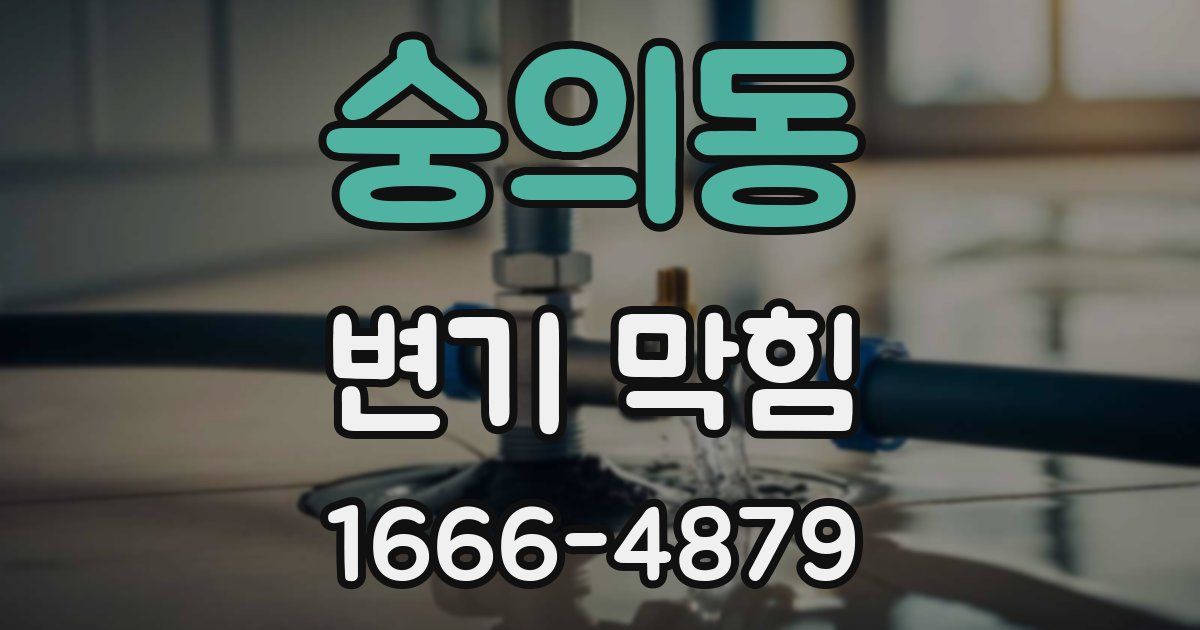 숭의동 변기 막힘