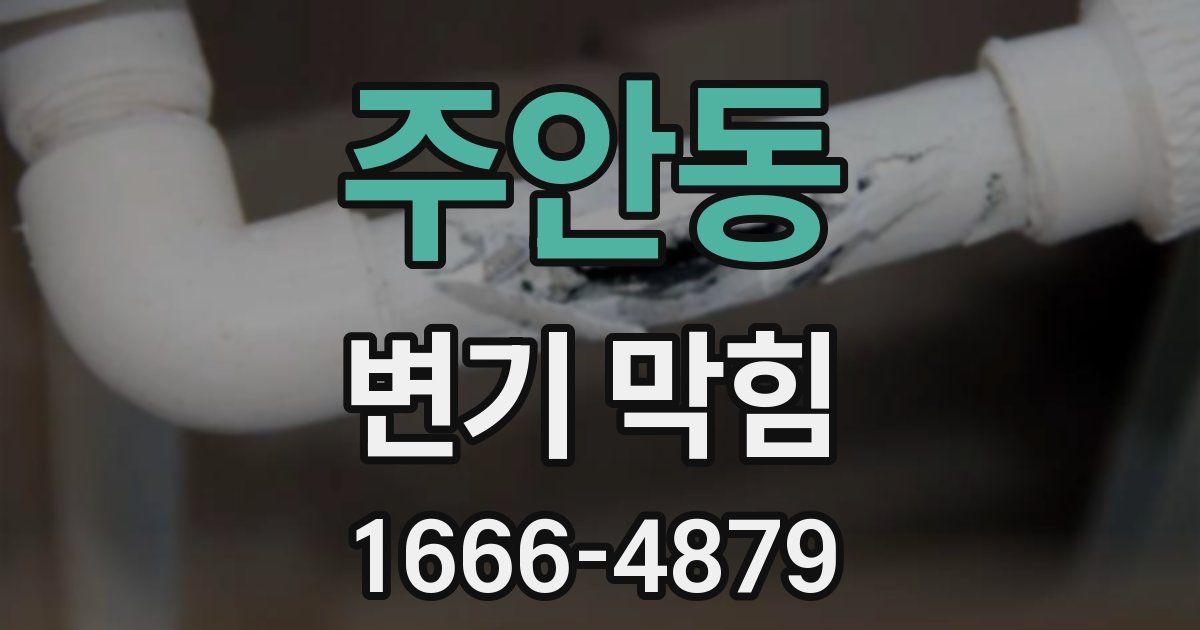 주안동 변기 막힘