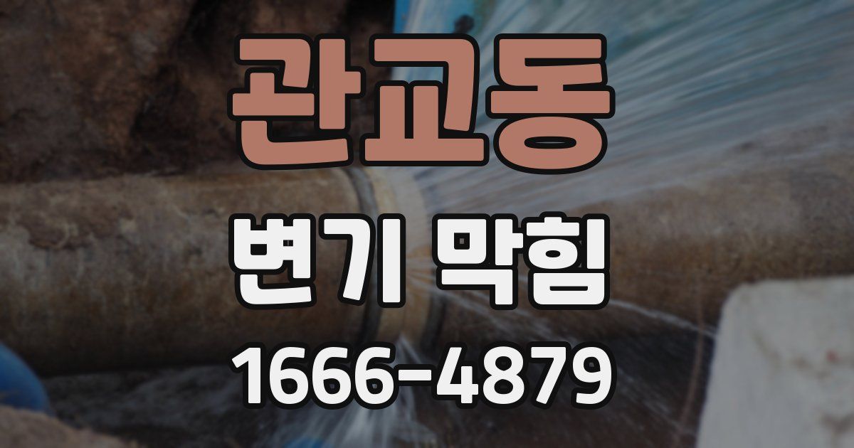 관교동 변기 막힘