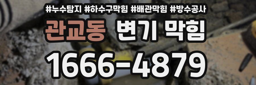관교동 변기 막힘