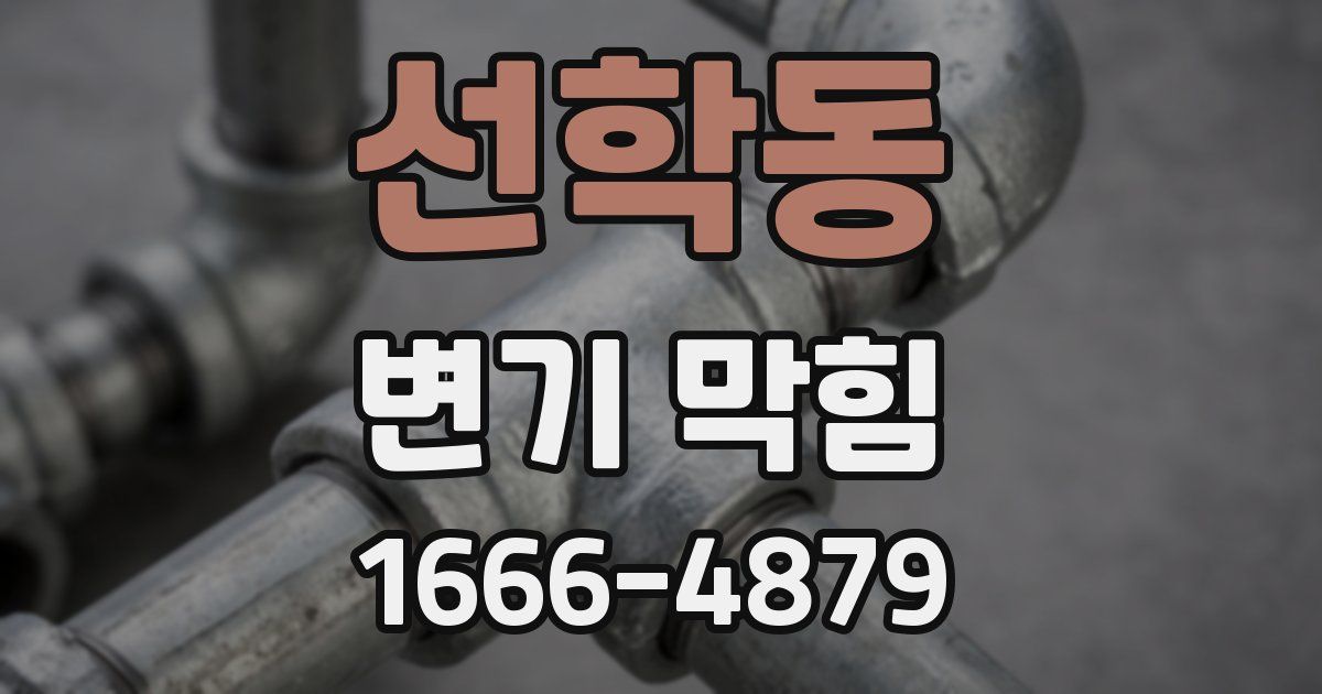 선학동 변기 막힘