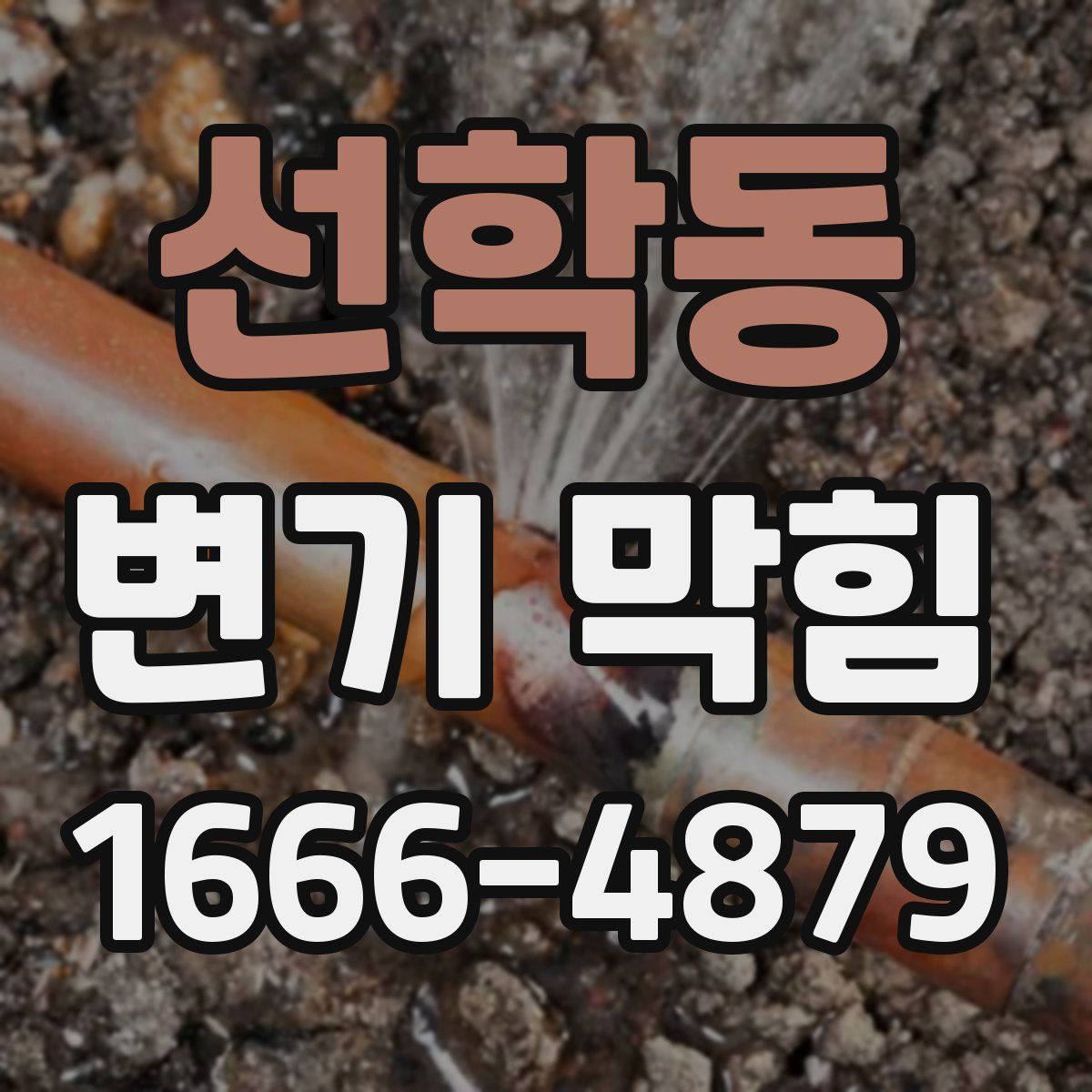 선학동 변기 막힘