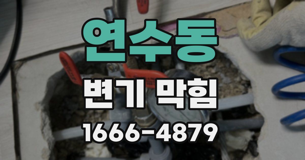 연수동 변기 막힘