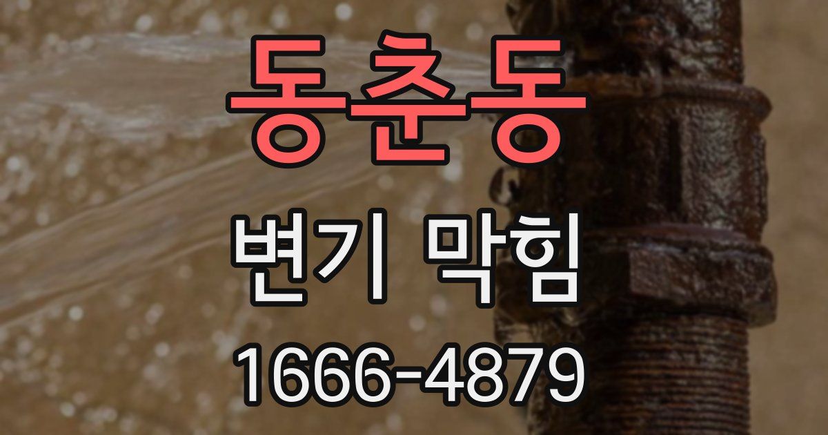 동춘동 변기 막힘