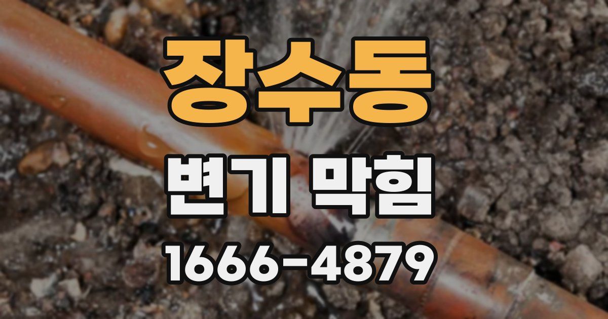 장수동 변기 막힘