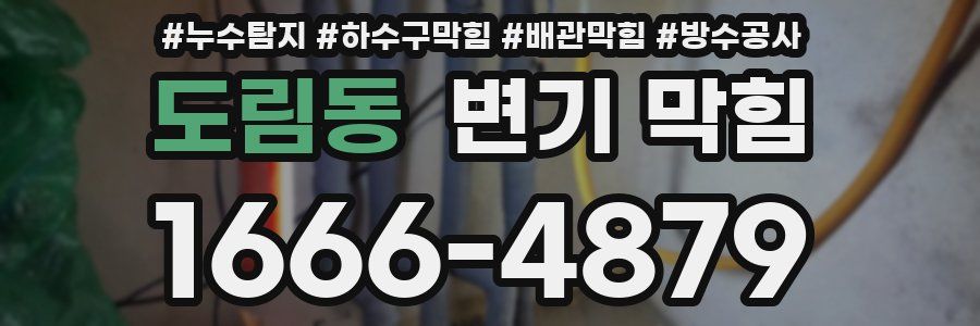 도림동 변기 막힘