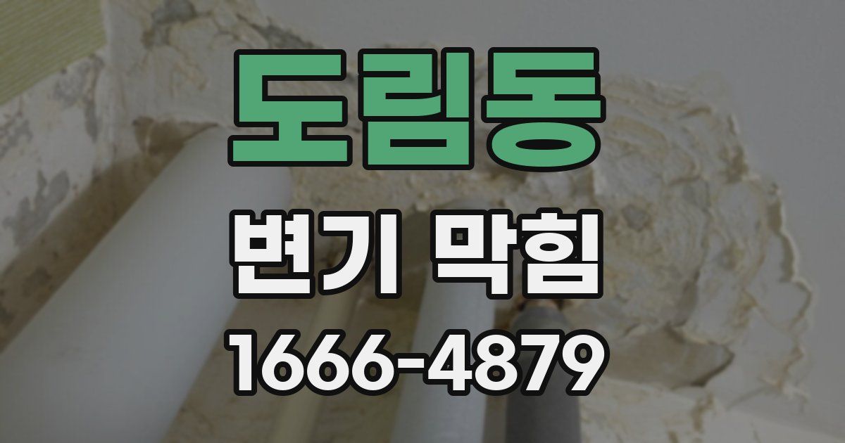 도림동 변기 막힘
