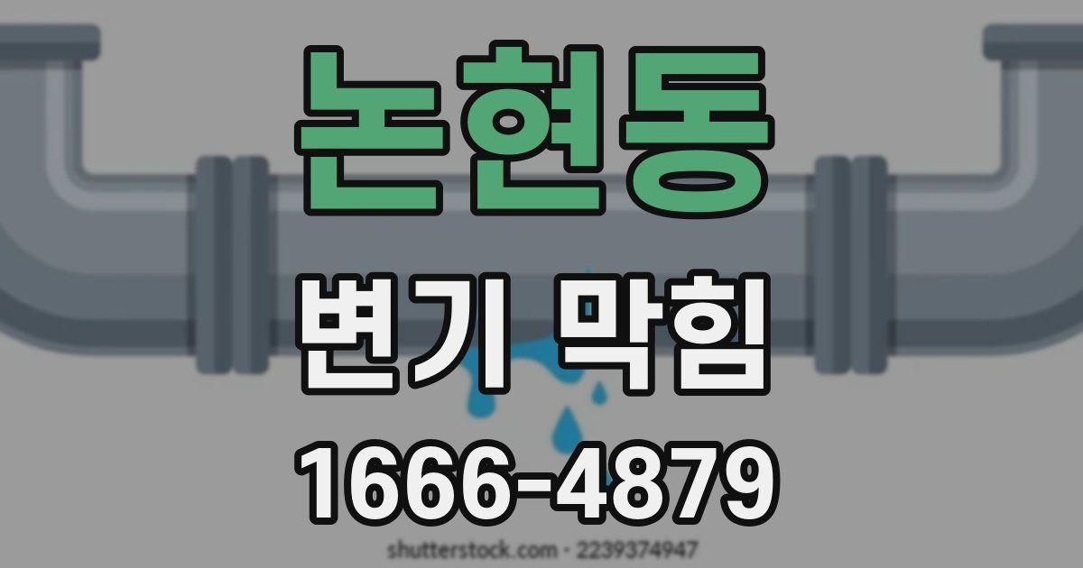 논현동 변기 막힘