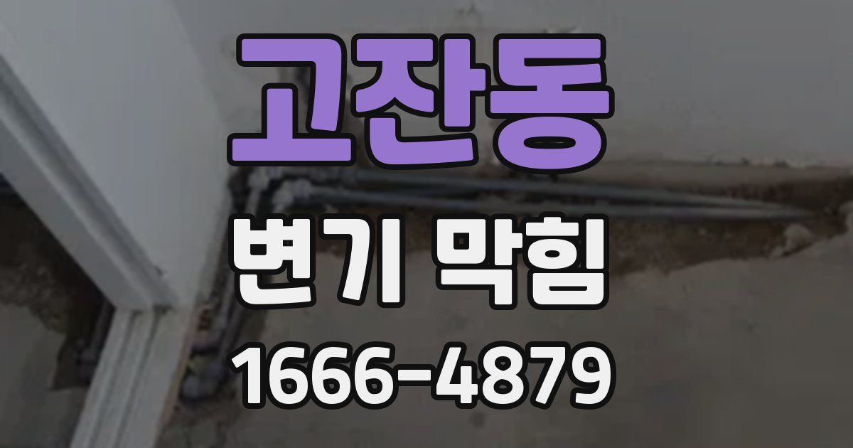 고잔동 변기 막힘