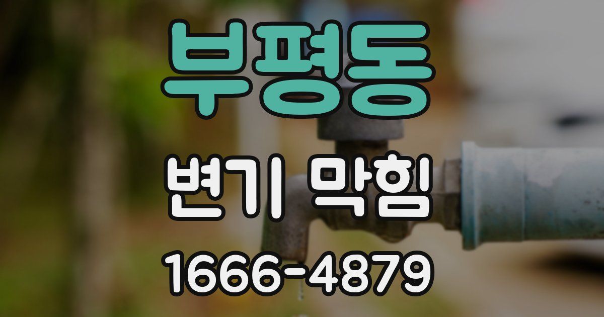 부평동 변기 막힘
