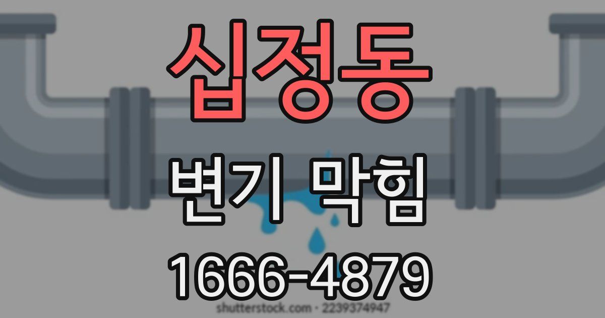 십정동 변기 막힘
