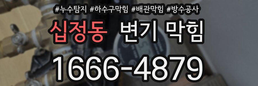 십정동 변기 막힘
