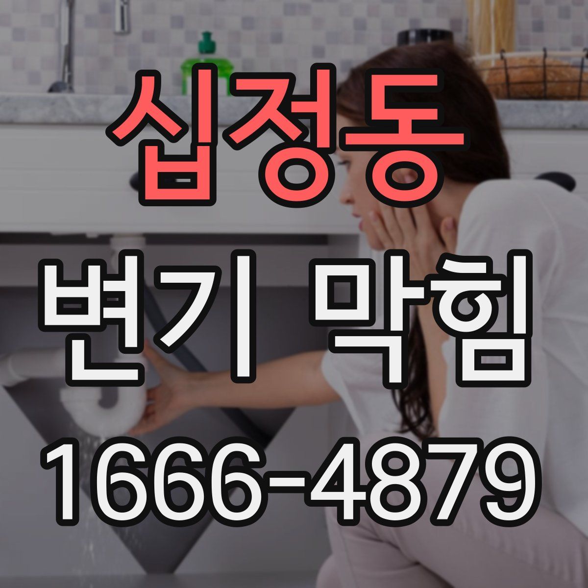 십정동 변기 막힘