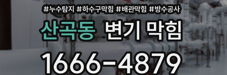 산곡동 변기 막힘