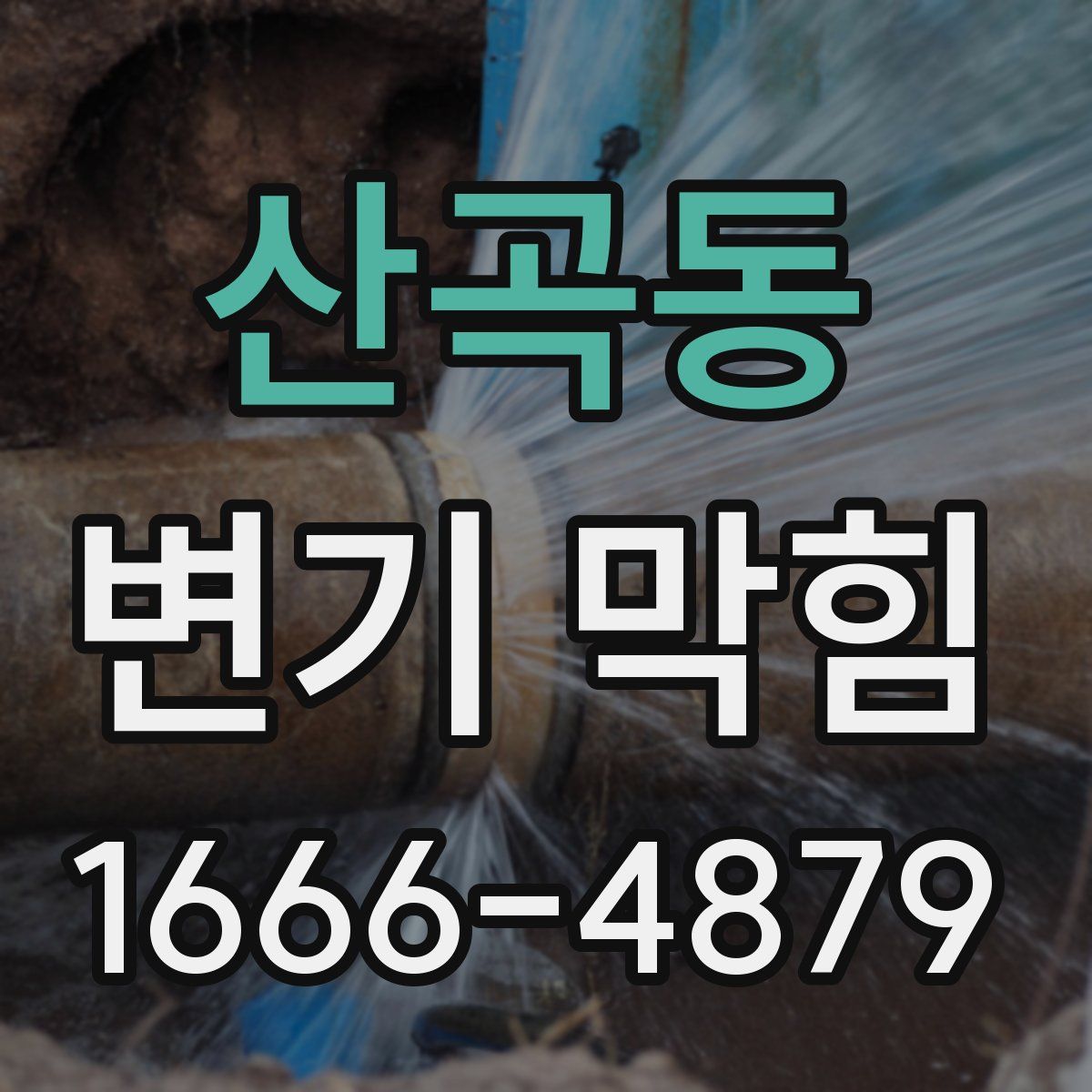 산곡동 변기 막힘