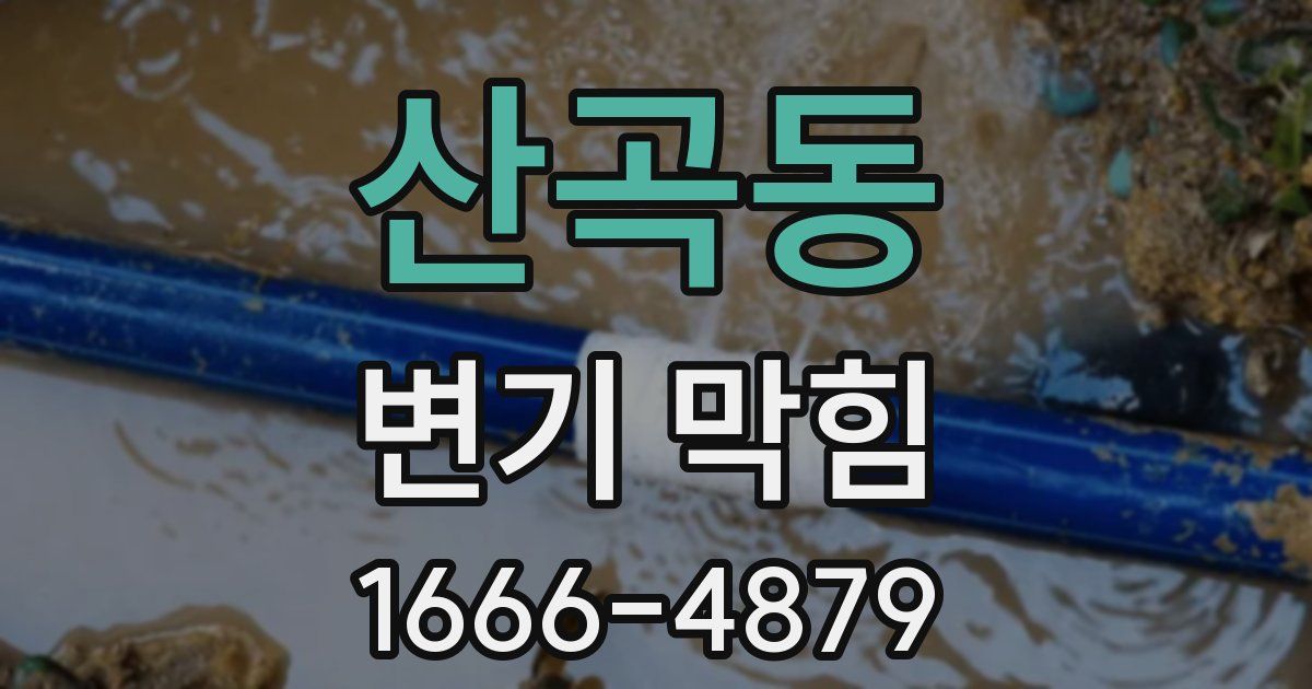 산곡동 변기 막힘