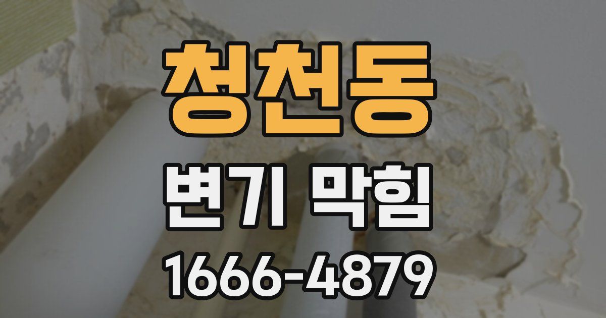 청천동 변기 막힘