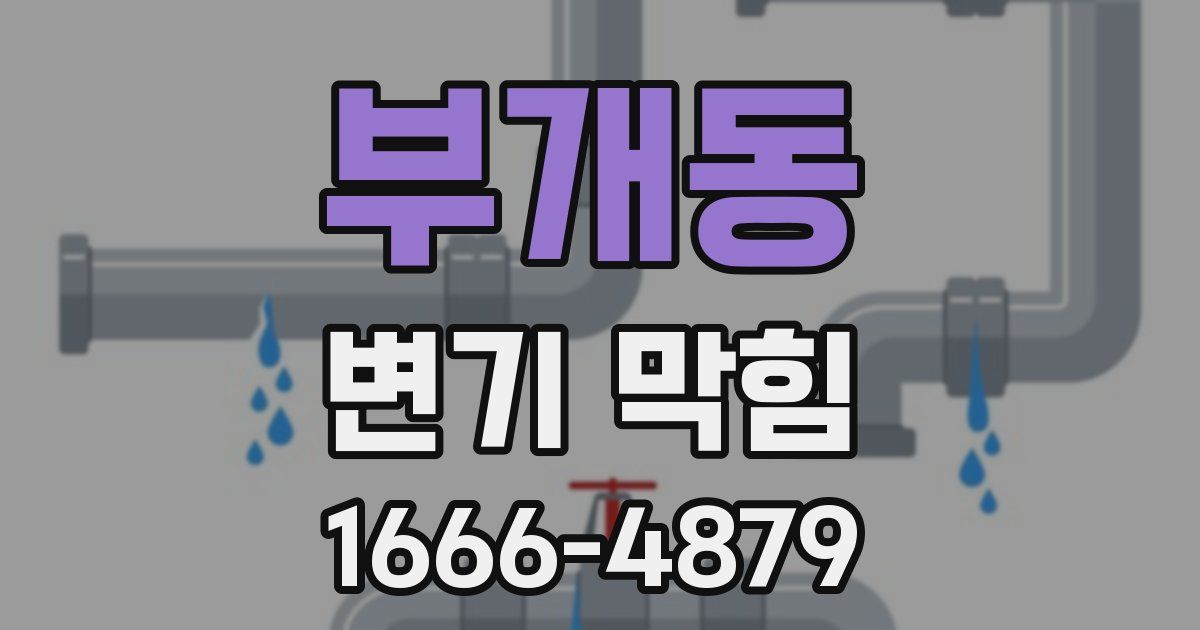 부개동 변기 막힘