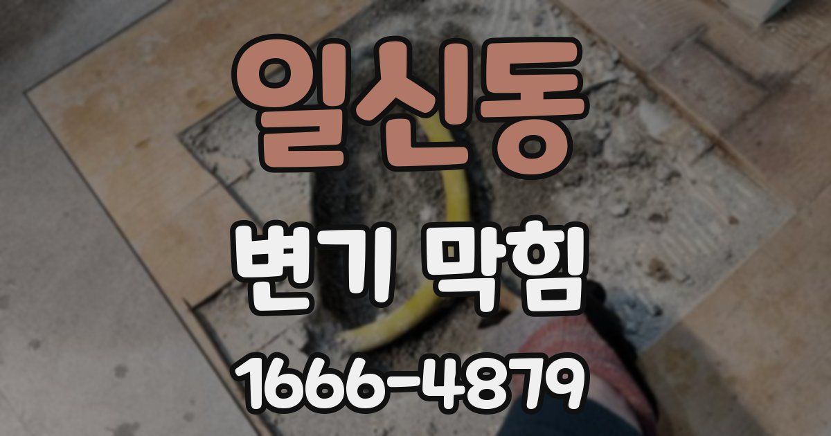 일신동 변기 막힘