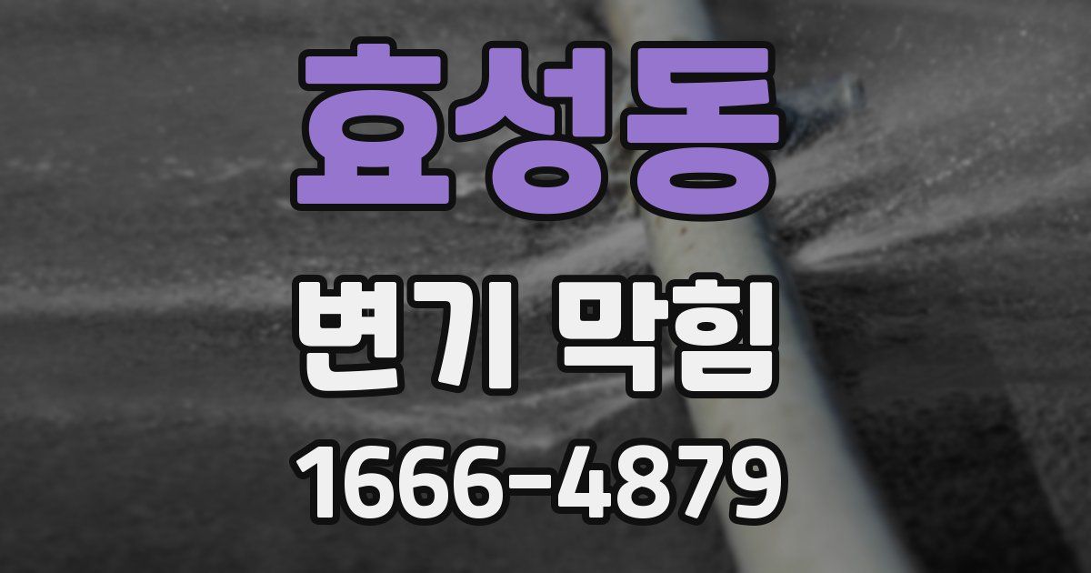 효성동 변기 막힘