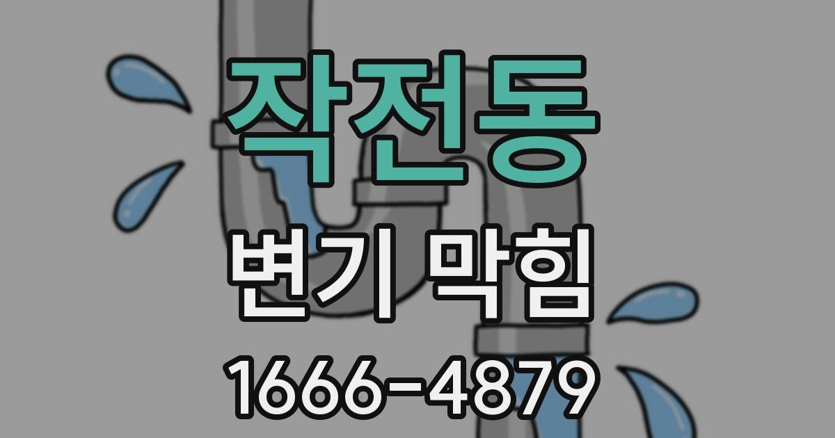작전동 변기 막힘