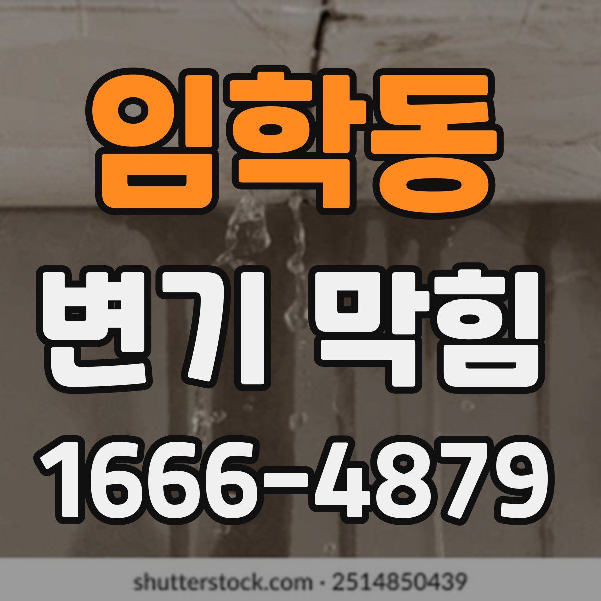 임학동 변기 막힘