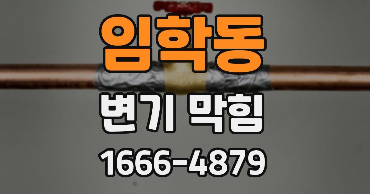 임학동 변기 막힘