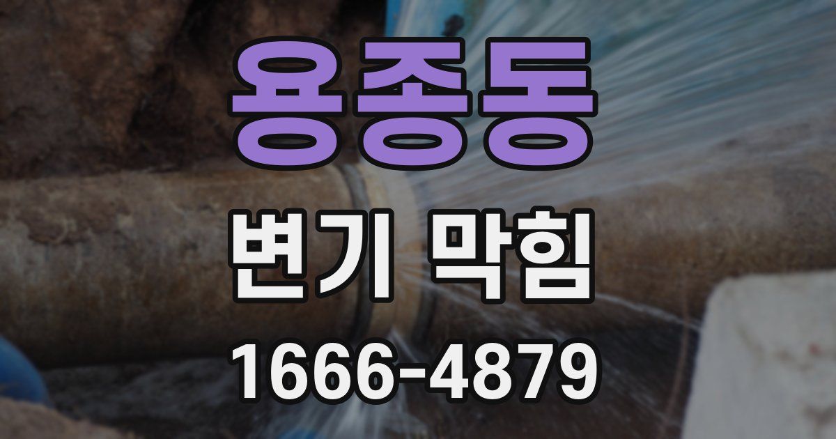용종동 변기 막힘