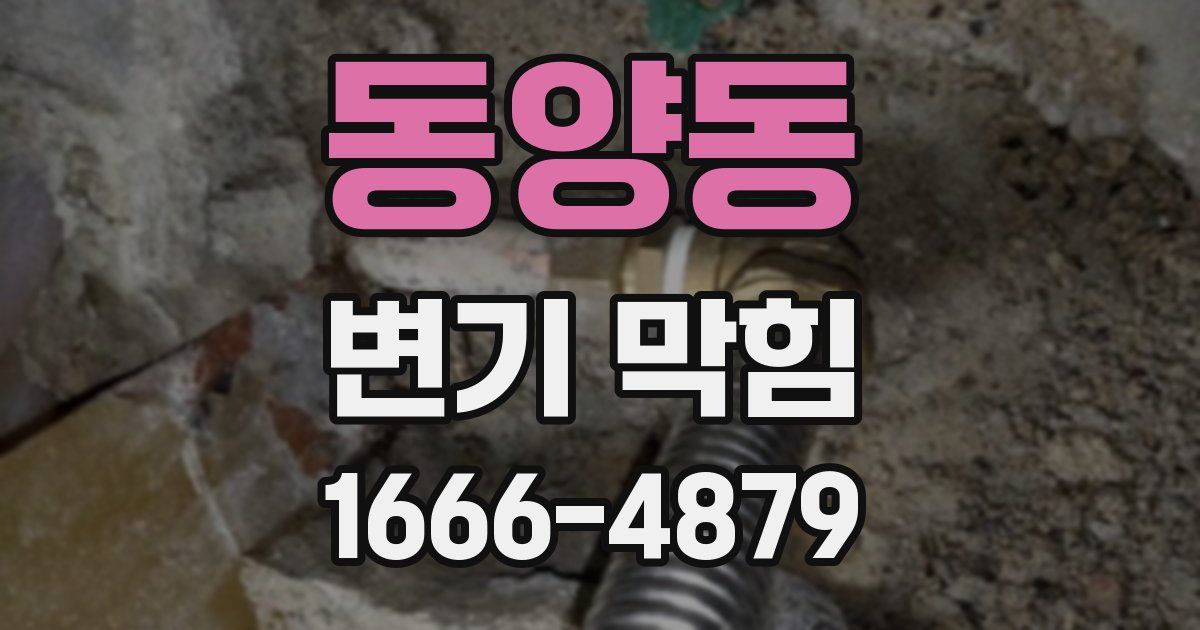 동양동 변기 막힘