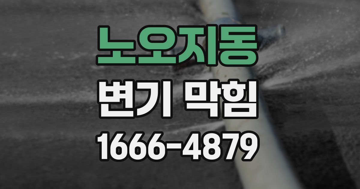 노오지동 변기 막힘