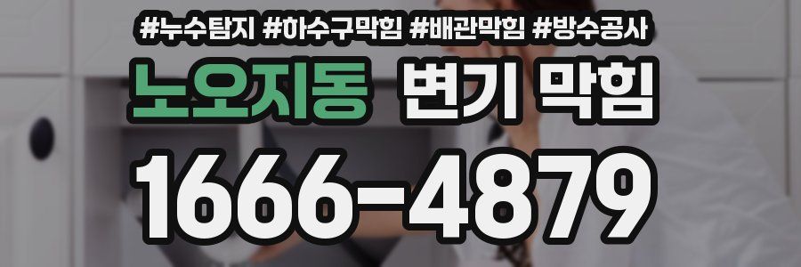 노오지동 변기 막힘